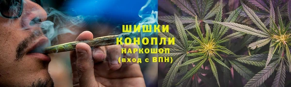 шишки Новодвинск