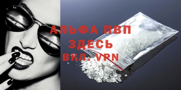 прущие грибы Новокубанск