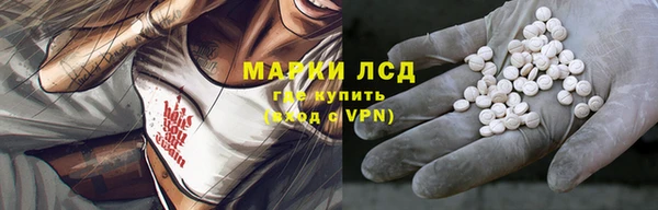 apvp Белокуриха