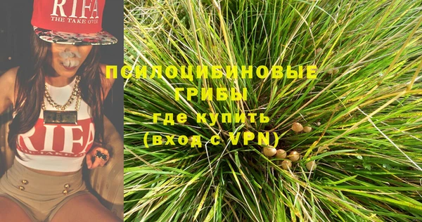 тгк Нея