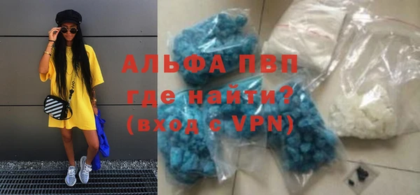 тгк Нея