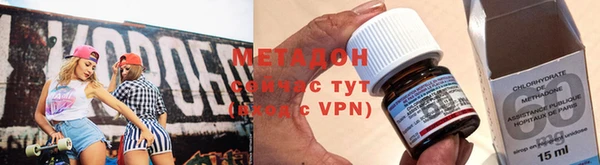 шишки Новодвинск