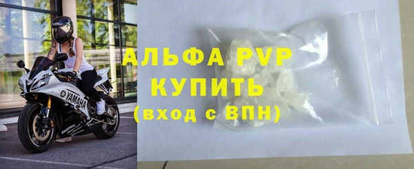 тгк Нея