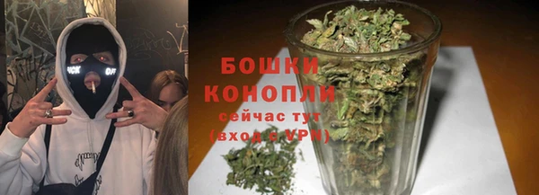 тгк Нея