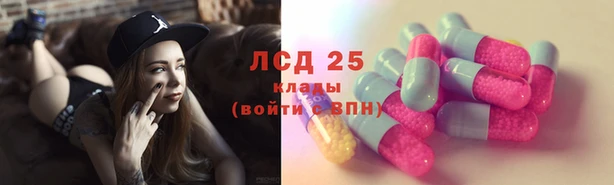шишки Новодвинск