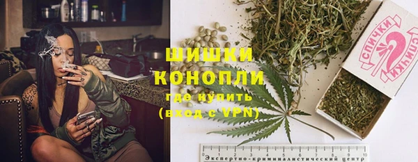 прущие грибы Новокубанск