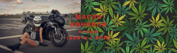 шишки Новодвинск