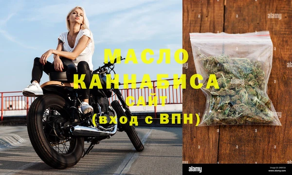 шишки Новодвинск