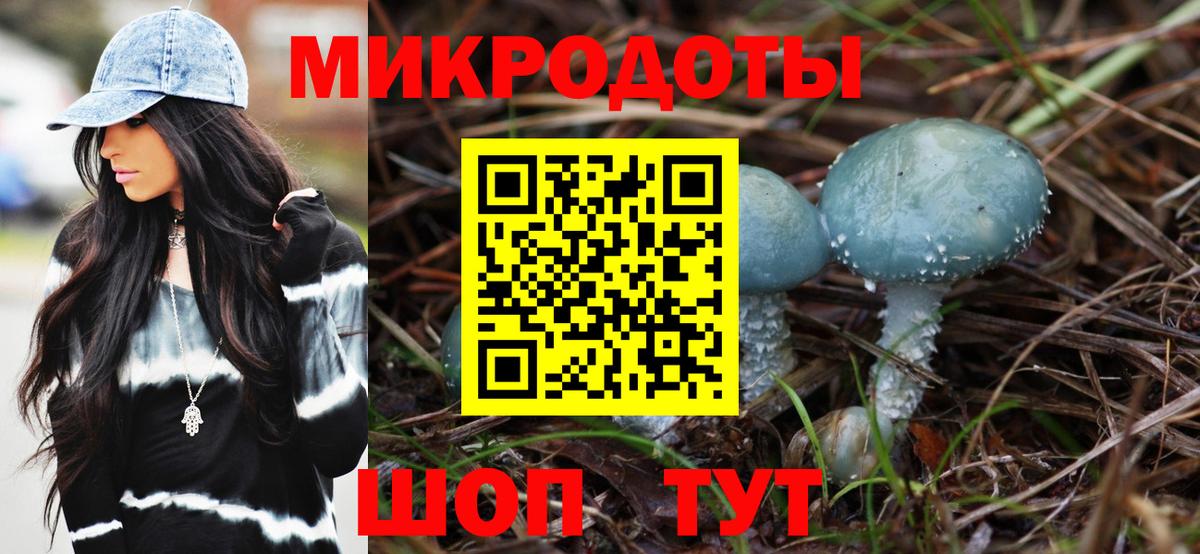Карпинск  Галлюциногенные грибы Cubensis  Вход с VPN 